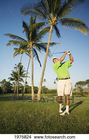 USA, Hawaii, Male Golfer Swinging Golf Club At The Maui Country Club Course; Maui View Large Photo Image Picture - USA, Hawaii, Male Golfer Swinging Golf Club At The Maui Country Club Course; Maui. Fotosearch