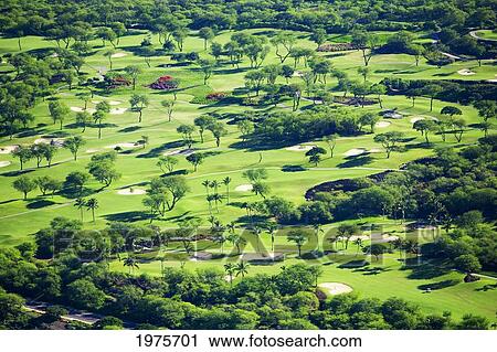Stock Image - USA, Hawaii, Maui, Aerial Of Wailea Gold And Emerald Golf Courses; Wailea. Fotosearch