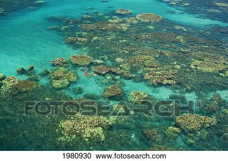 Stock Image - USA, Hawaii, Maui, Aerial view of couple snorkeling in Pacific Ocean; Olowalu. Fotosearch