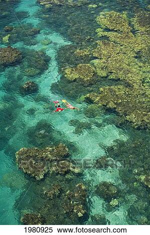 Stock Photography - USA, Hawaii, Maui, Aerial view of couple snorkeling in Pacific Ocean; Olowalu. Fotosearch