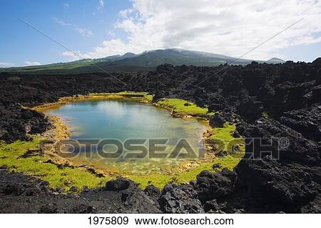 Stock Photo - USA, Hawaii, Maui, Anchialine Pond; Makena, Ahihi Kinau Natural Reserve. Fotosearch
