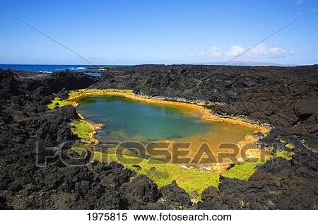 Stock Photography - USA, Hawaii, Maui, Anchialine Pond; Makena, Ahihi Kinau Natural Reserve. Fotosearch