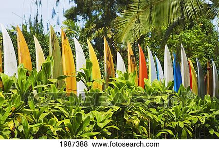 Stock Photo - USA, Hawaii, Maui, Fence made out of surfboards; Haiku. Fotosearch