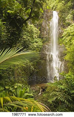 Stock Image - USA, Hawaii, Maui, Kipahulu, Wailua Falls surrounded by foliage; Hana Coast. Fotosearch