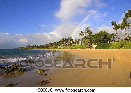 USA, Hawaii, Maui, Rainbow over palm trees and Keawakapu Beach; Kihei View Large Photo Image Stock Photograph - USA, Hawaii, Maui, Rainbow over palm trees and Keawakapu Beach; Kihei. Fotosearch