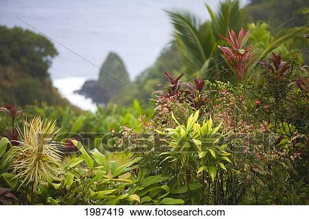 Usa Hawaii Maui Scene From Garden Of Eden Hana Stock Photo