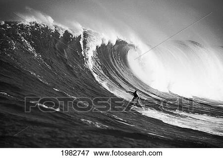 Stock Photo - USA, Hawaii, Maui, Surfer on big wave; Peahi. Fotosearch