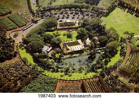Stock Image - USA, Hawaii, Maui, Tropical plantation; Waikapu. Fotosearch