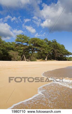Stock Image - USA, Hawaii, Maui, View of Oneloa or Big Beach; Makena State Park. Fotosearch