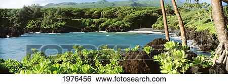 USA, Hawaii, Maui, Waianapanapa State Park; Hana, Black Sand Beach And Lush Greenery View Large Photo Image Stock Photograph - USA, Hawaii, Maui, Waianapanapa State Park; Hana, Black Sand Beach And Lush Greenery. Fotosearch