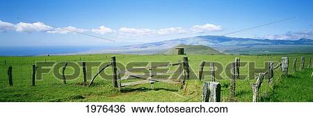 USA, Hawaii, Mauna Kea In Background; Big Island, Country Landscape With Pasture And Wooden Fence, Kamuela View Large Photo Image Stock Photograph - USA, Hawaii, Mauna Kea In Background; Big Island, Country Landscape With Pasture And Wooden Fence, Kamuela. Fotosearch