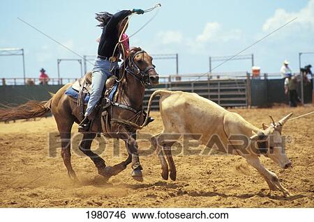 USA, Hawaii, Molokai, Woman Roping Calf; Molokai Ranch View Large Photo Image Stock Photograph - USA, Hawaii, Molokai, Woman Roping Calf; Molokai Ranch. Fotosearch