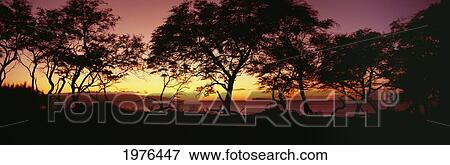 Stock Photo - USA, Hawaii, Molokini Island In Distance; Maui, Trees Silhouetted On West Maui Shoreline. Fotosearch