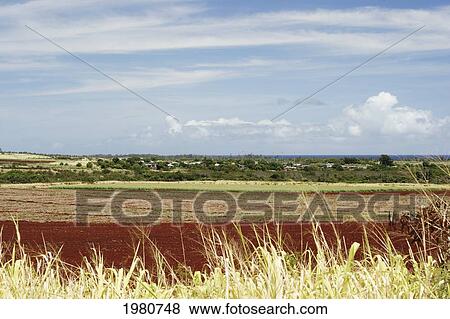 Stock Photo - USA, Hawaii, Oahu, Agricultural land and residential area; Wailua. Fotosearch