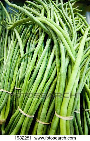 Stock Image - USA, Hawaii, Oahu, Close-up of bunches of string beans in Chinatown; Honolulu. Fotosearch
