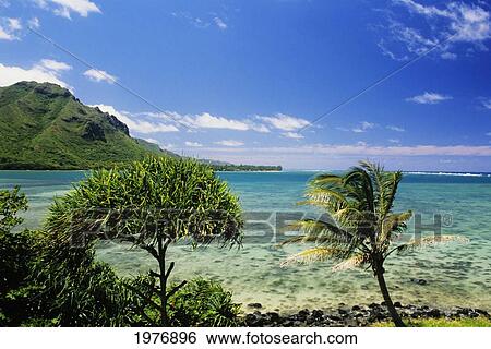 Stock Photograph - USA, Hawaii, Oahu, Crystal Clear Water And Lush Green Mountains In Distance; Kahana Bay, Bright Blue Sky. Fotosearch