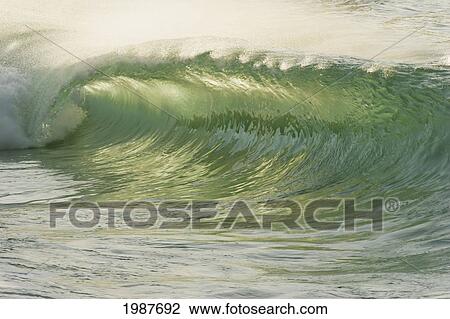 USA, Hawaii, Oahu, Glassy backlit wave; North Shore View Large Photo Image Stock Image - USA, Hawaii, Oahu, Glassy backlit wave; North Shore. Fotosearch