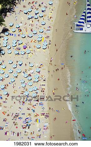 USA, Hawaii, Oahu, Honolulu, Aerial view of tourists on Waikiki Beach; Waikiki View Large Photo Image Stock Image - USA, Hawaii, Oahu, Honolulu, Aerial view of tourists on Waikiki Beach; Waikiki. Fotosearch