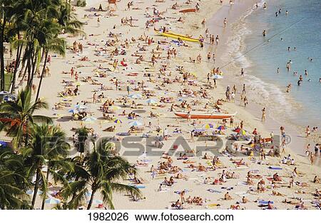 Stock Photograph - USA, Hawaii, Oahu, Honolulu, Tourists on Waikiki Beach; Waikiki. Fotosearch