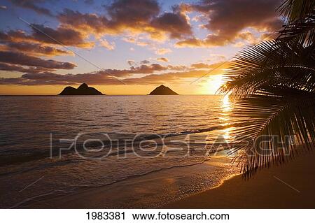 USA, Hawaii, Oahu, Lanikai Beach with Mokulua island in background at sunrise; Lanikai View Large Photo Image Stock Image - USA, Hawaii, Oahu, Lanikai Beach with Mokulua island in background at sunrise; Lanikai. Fotosearch