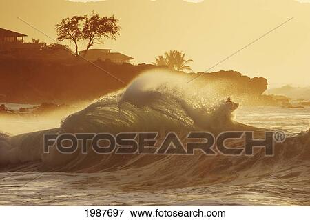 USA, Hawaii, Oahu, Large crashing curling wave with golden misty sunset sky; Waimea Bay View Large Photo Image Stock Photo - USA, Hawaii, Oahu, Large crashing curling wave with golden misty sunset sky; Waimea Bay. Fotosearch