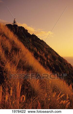 Stock Image - USA, Hawaii, Oahu, Mountain Bbiker at top of hill at sunset; Lanikai. Fotosearch