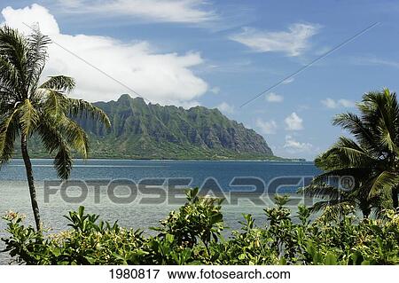 USA, Hawaii, Oahu, Mountains and Pacific Ocean; Kaneohe Bay View Large Photo Image Stock Photo - USA, Hawaii, Oahu, Mountains and Pacific Ocean; Kaneohe Bay. Fotosearch