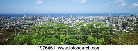 USA, Hawaii, Oahu, Panoramic View Of City Buildings And Greenery From Tantalus Lookout; Honolulu View Large Photo Image Stock Image - USA, Hawaii, Oahu, Panoramic View Of City Buildings And Greenery From Tantalus Lookout; Honolulu. Fotosearch