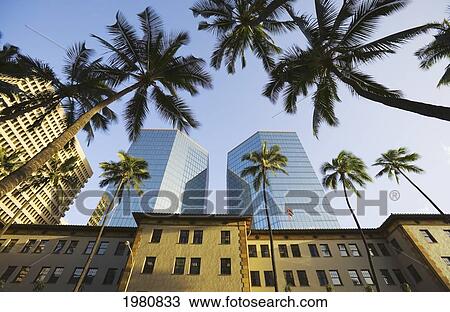 USA, Hawaii, Oahu, skyscrapers and palm trees; Honolulu, Upward view of Dillingham Transportation Building View Large Photo Image Stock Image - USA, Hawaii, Oahu, skyscrapers and palm trees; Honolulu, Upward view of Dillingham Transportation Building. Fotosearch