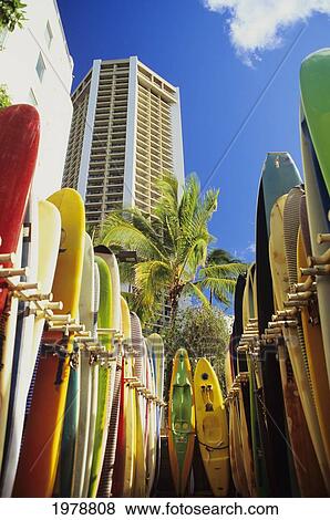 Stock Photo - USA, Hawaii, Oahu, Surfboards lined up at Waikiki Beach; Honolulu. Fotosearch