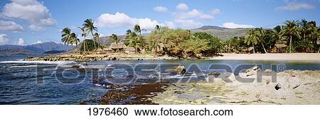 Stock Image - USA, Hawaii, Oahu, Thatched Huts Along Shoreline; Paradise Cove. Fotosearch