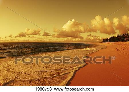 USA, Hawaii, Oahu, View of sandy beach at sunset; North Shore View Large Photo Image Stock Image - USA, Hawaii, Oahu, View of sandy beach at sunset; North Shore. Fotosearch