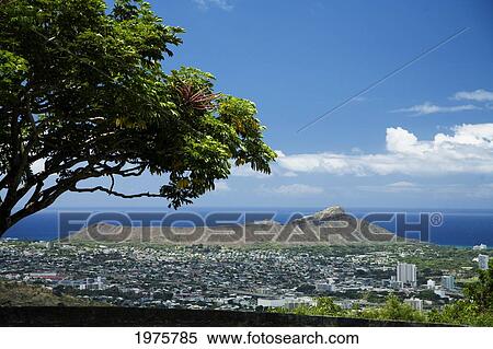 USA, Hawaii, Oahu, Waikiki, Diamond Head And Waikiki Seen From Tantalus; Tantalus View Large Photo Image Stock Photography - USA, Hawaii, Oahu, Waikiki, Diamond Head And Waikiki Seen From Tantalus; Tantalus. Fotosearch