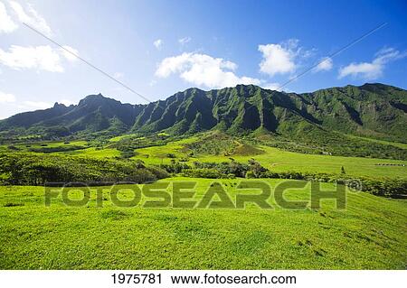 USA, Hawaii, Oahu, Waikiki, View Of Kualoa Ranch With Koolau Mountain Range In Background; Kaaawa Valley View Large Photo Image Stock Image - USA, Hawaii, Oahu, Waikiki, View Of Kualoa Ranch With Koolau Mountain Range In Background; Kaaawa Valley. Fotosearch