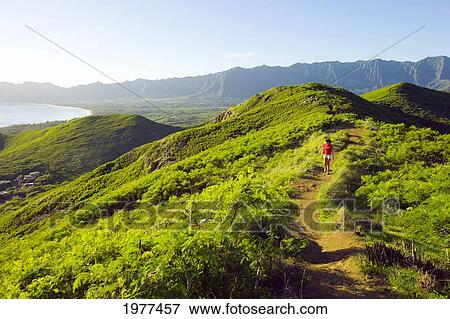USA, Hawaii, Oahu, Woman hiking; Lanikai View Large Photo Image Stock Photo - USA, Hawaii, Oahu, Woman hiking; Lanikai. Fotosearch