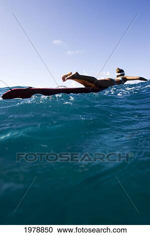 USA, Hawaii, Oahu, Woman on paddleboard; Makapuu View Large Photo Image Stock Image - USA, Hawaii, Oahu, Woman on paddleboard; Makapuu. Fotosearch