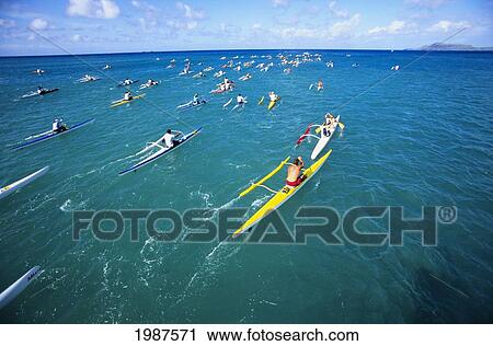 USA, Hawaii, Paddlers race one and two-man outrigger canoes in open ocean; Oahu View Large Photo Image Stock Image - USA, Hawaii, Paddlers race one and two-man outrigger canoes in open ocean; Oahu. Fotosearch