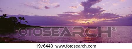 USA, Hawaii, Purple Sunset Over Ocean; Maui, Kapalua Beach View Large Photo Image Stock Image - USA, Hawaii, Purple Sunset Over Ocean; Maui, Kapalua Beach. Fotosearch