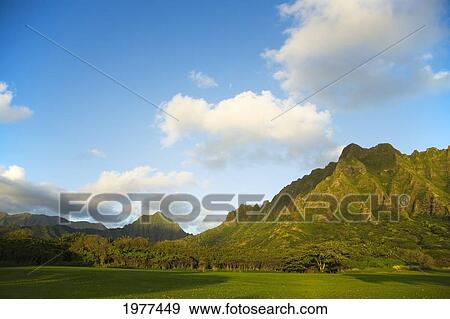 Stock Photo - USA, Hawaii, View of Kualoa Ranch from Kualoa Beach Park; Oahu. Fotosearch
