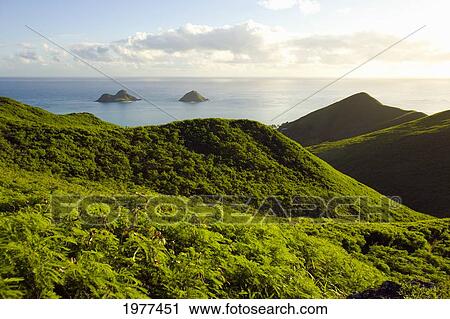 USA, Hawaii, View of mountains and Mokulua Islands; Lanikai View Large Photo Image Stock Image - USA, Hawaii, View of mountains and Mokulua Islands; Lanikai. Fotosearch