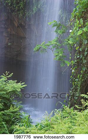 USA, Hawaii, Waterfall coming from Kalihiwai stream; Kauai View Large Photo Image Stock Photograph - USA, Hawaii, Waterfall coming from Kalihiwai stream; Kauai. Fotosearch