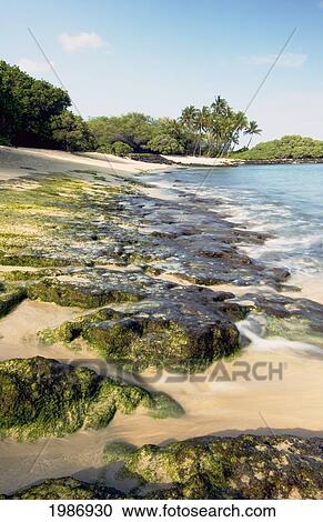 Stock Image - USA, Hawaiian Islands, Big Island, Mahaiula State Beach Park; North Kona, Along shoreline and white sand beach with mossy rocks. Fotosearch