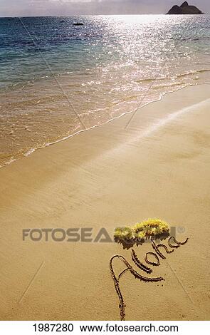 Stock Image - USA, Hawaiian Islands, Oahu, Kailua, Turquoise Ocean, Aloha written on sand with yellow plumeria; Lanikai Beach. Fotosearch