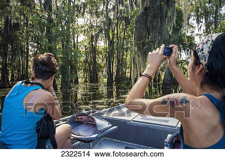 Picture - USA, Louisiana, Tourists on swamp tour; Breaux Bridge. Fotosearch