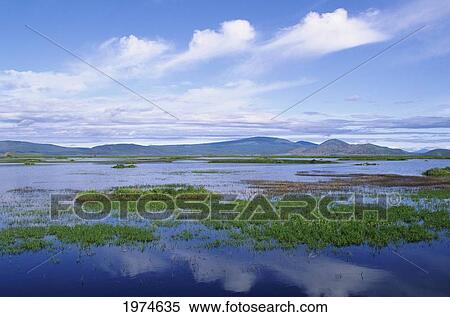 Stock Photography - USA, Lower Klamath National Wildlife Refuge; Oregon, Landscape At Oregon-California Border. Fotosearch