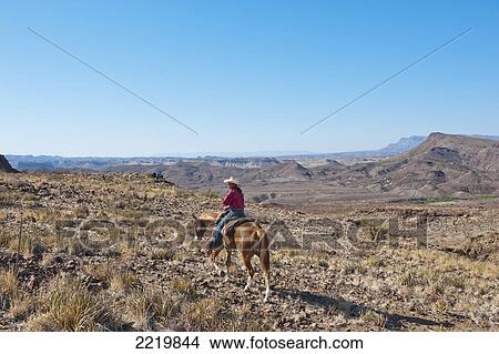 USA, Men horseback riding among desert landscape; Texas View Large Photo Image Picture - USA, Men horseback riding among desert landscape; Texas. Fotosearch