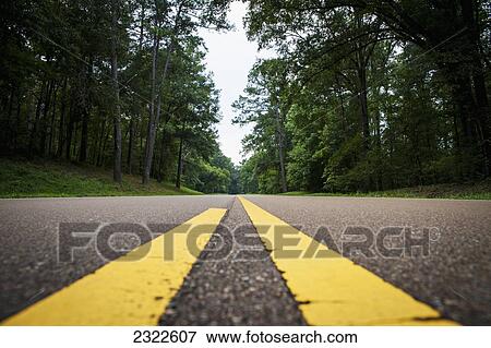 USA, Mississippi, Close-up of road in Natchez Trace Parkway; Natchez View Large Photo Image Stock Photo - USA, Mississippi, Close-up of road in Natchez Trace Parkway; Natchez. Fotosearch