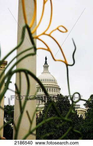 USA, Modern sculpture at United States Botanic Garden with US Capital building in background; Washington DC View Large Photo Image Stock Image - USA, Modern sculpture at United States Botanic Garden with US Capital building in background; Washington DC. Fotosearch