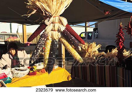 Stock Photo - USA, New Mexico, Santa Fe, Dried purple cobs of corn hanging on display at Saturday Market. Fotosearch