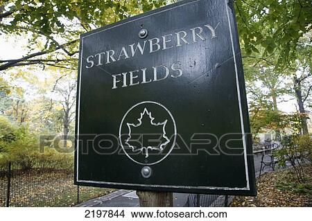 Usa, New York State, New York City, Strawberry Fields; Central Park View Large Photo Image Picture - Usa, New York State, New York City, Strawberry Fields; Central Park. Fotosearch